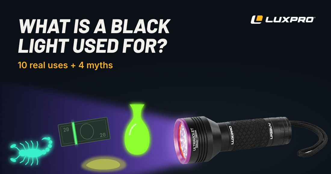 LUXPRO LP32UV black light flashlight making a scorpion, uranium glass vase, $20 bill security strip and pet stain glow