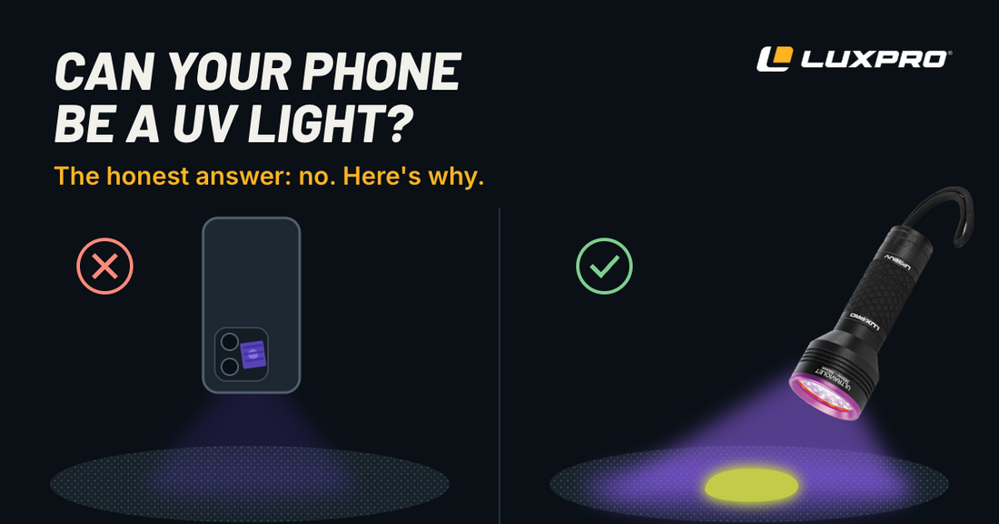 A phone flashlight with tape over it shows nothing on carpet, while the LUXPRO LP32UV UV flashlight reveals a glowing stain