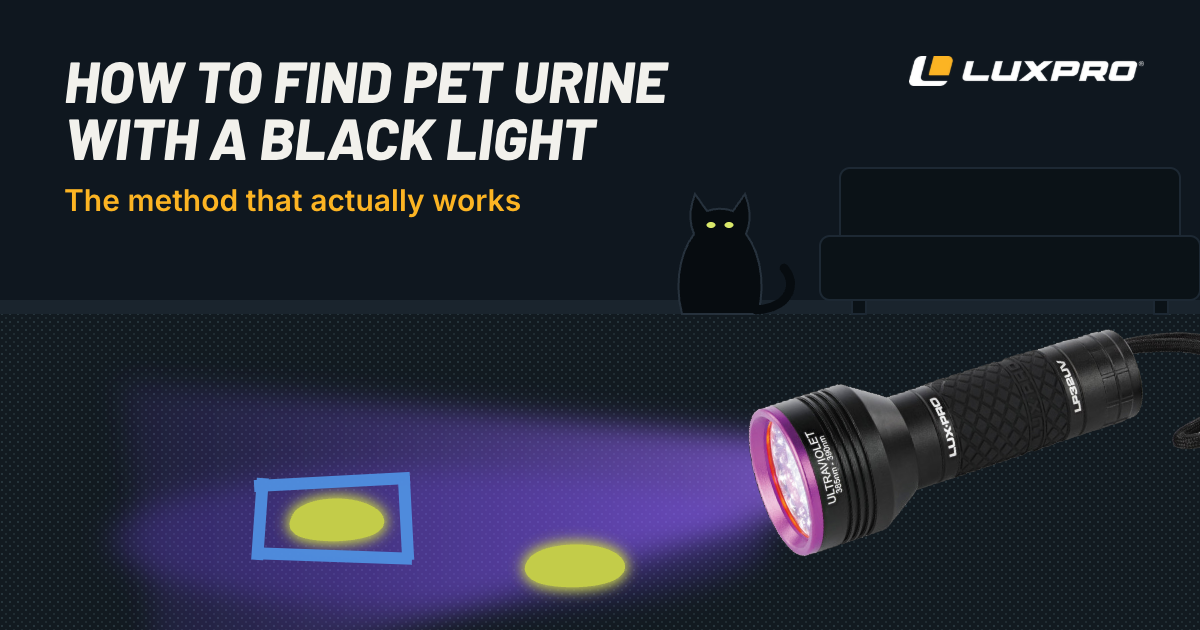 LUXPRO LP32UV held low over a dark carpet revealing two glowing yellow-green pet urine stains, one outlined with painter's tape