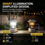 LP1535 | 265 Lumen Retro LED Lantern