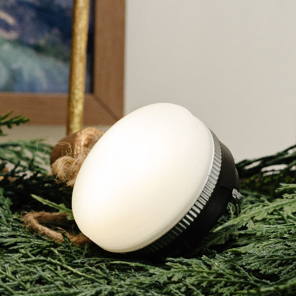 LP1503 Mini Magnetic 118 Lumen Hanging Lantern