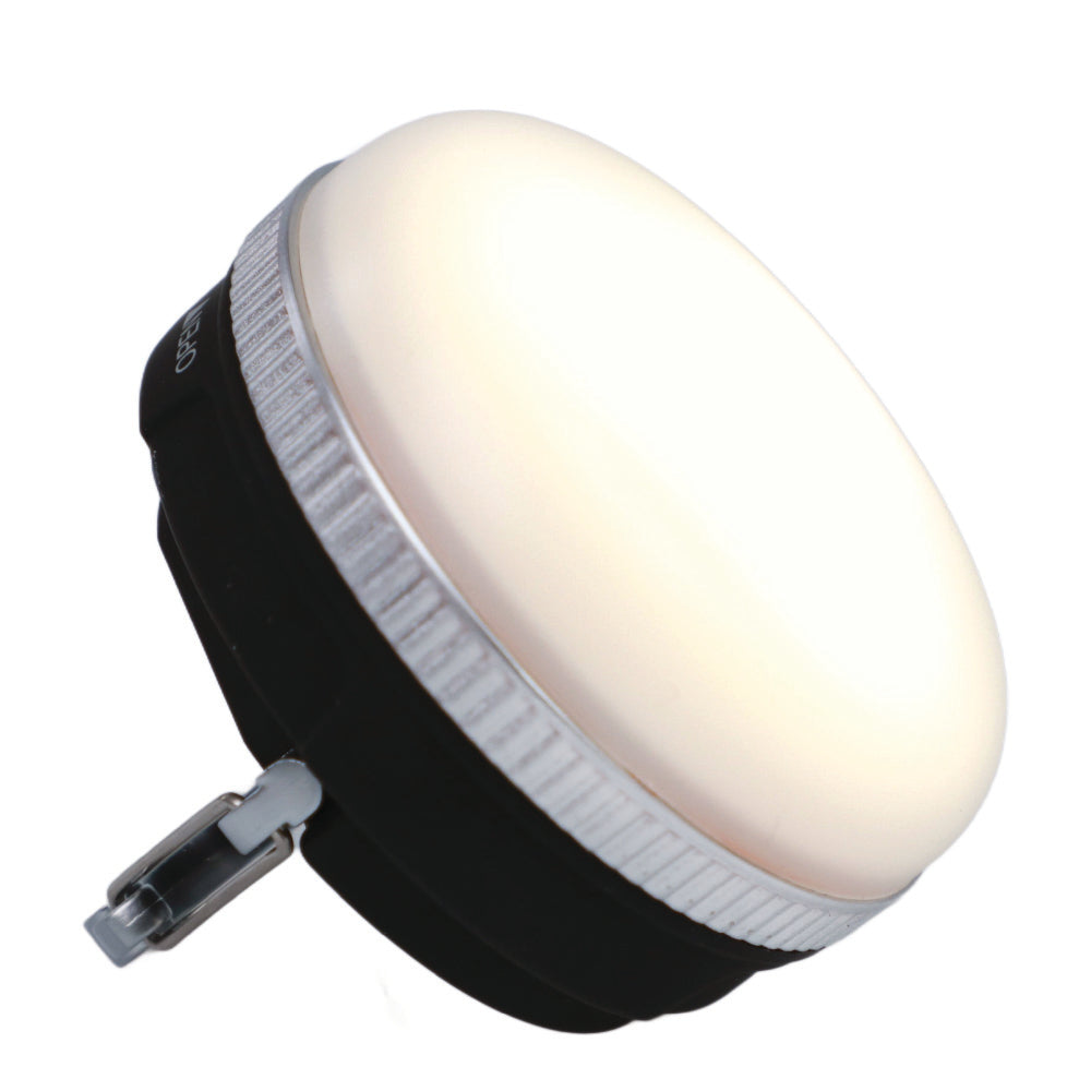 Hanging LED Camp Light - 120 Lumens | LP1503v2