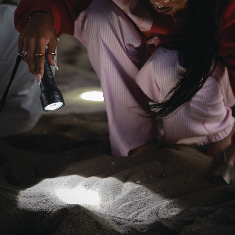 350 Lumen Lightweight LED Flashlight | LP229