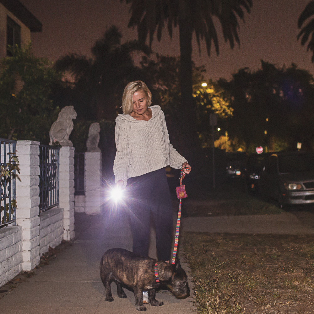 best flashlight for walking at night rechargeable LuxPro LP398 Power Bank LED Flashlight