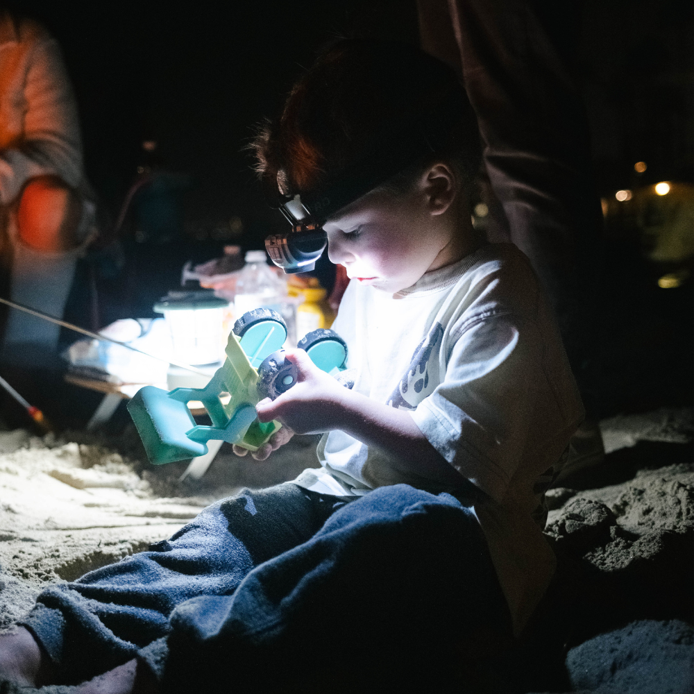 Extended Run-Time Multi-Color 450 Lumen LED Headlamp - LP345v3