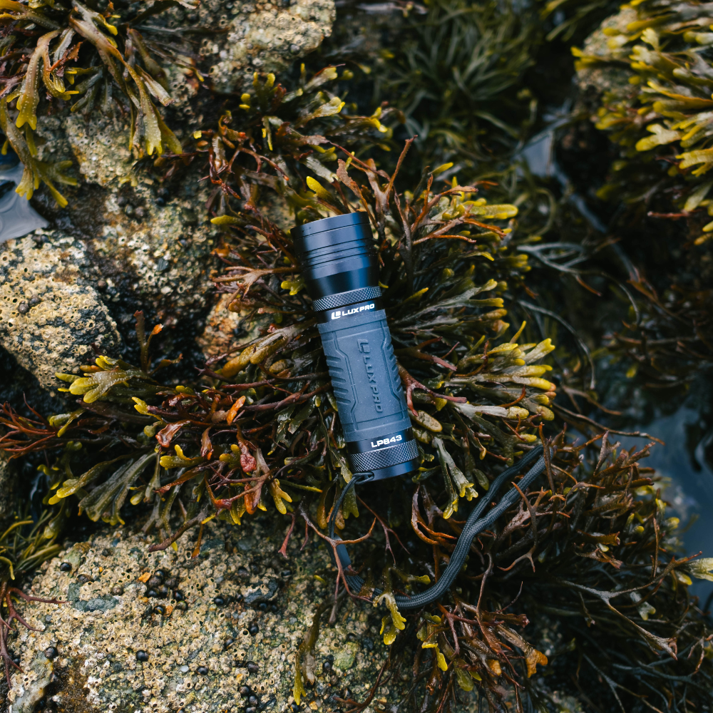 Handheld Focus LED Flashlight - 700 Lumen | LP843