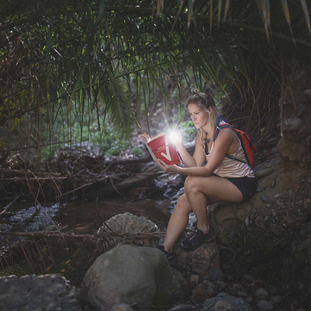 Everyday Pocket Light - 500 Lumen | LP290v4