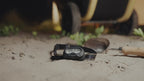 Rechargeable Flip-up Headlamp - 450 Lumens | XP405